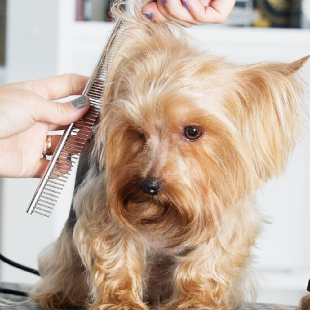 7" Professional Pet Dog Grooming Scissors Shear Hair Cutting Set Curved Tool Kit